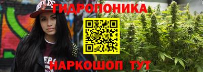 мдпв Сланцы