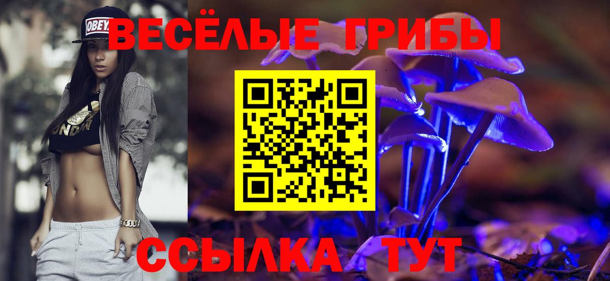 Псилоцибиновые грибы мухоморы Новошахтинск