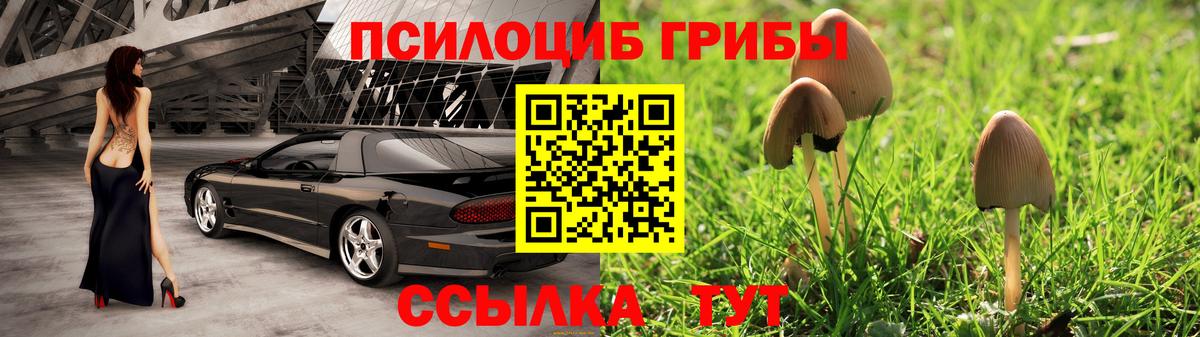 Галлюциногенные грибы Cubensis  Вход с VPN  Новошахтинск 
